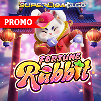 Fortune Rabbit
